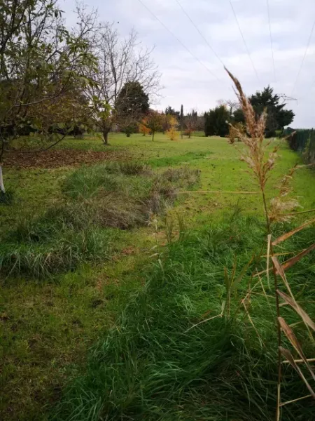 hiver antre des vices